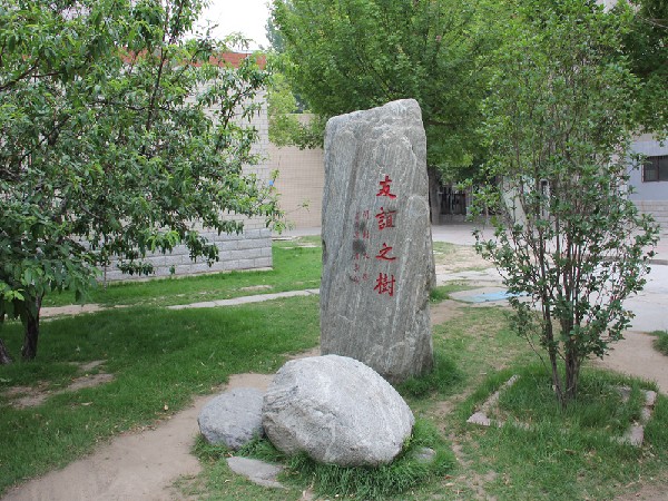友誼之樹
